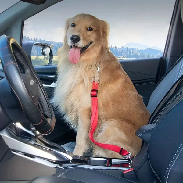 Pet Seatbelt