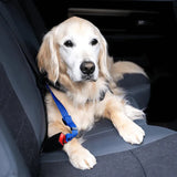 Pet Seatbelt