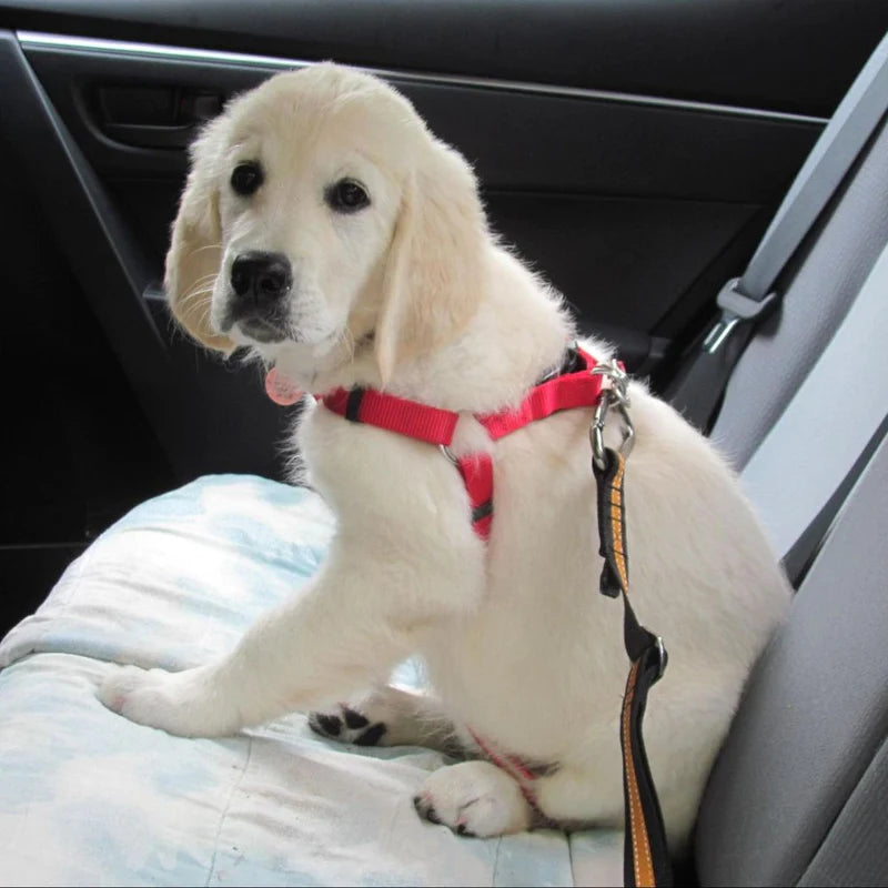 Pet Seatbelt